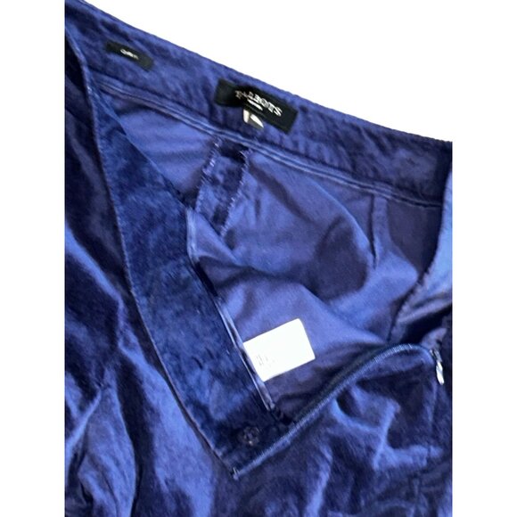 Talbots Petites Curvy Fit Velvet Ankle Pants in Blue Size 6P - Picture 4 of 6
